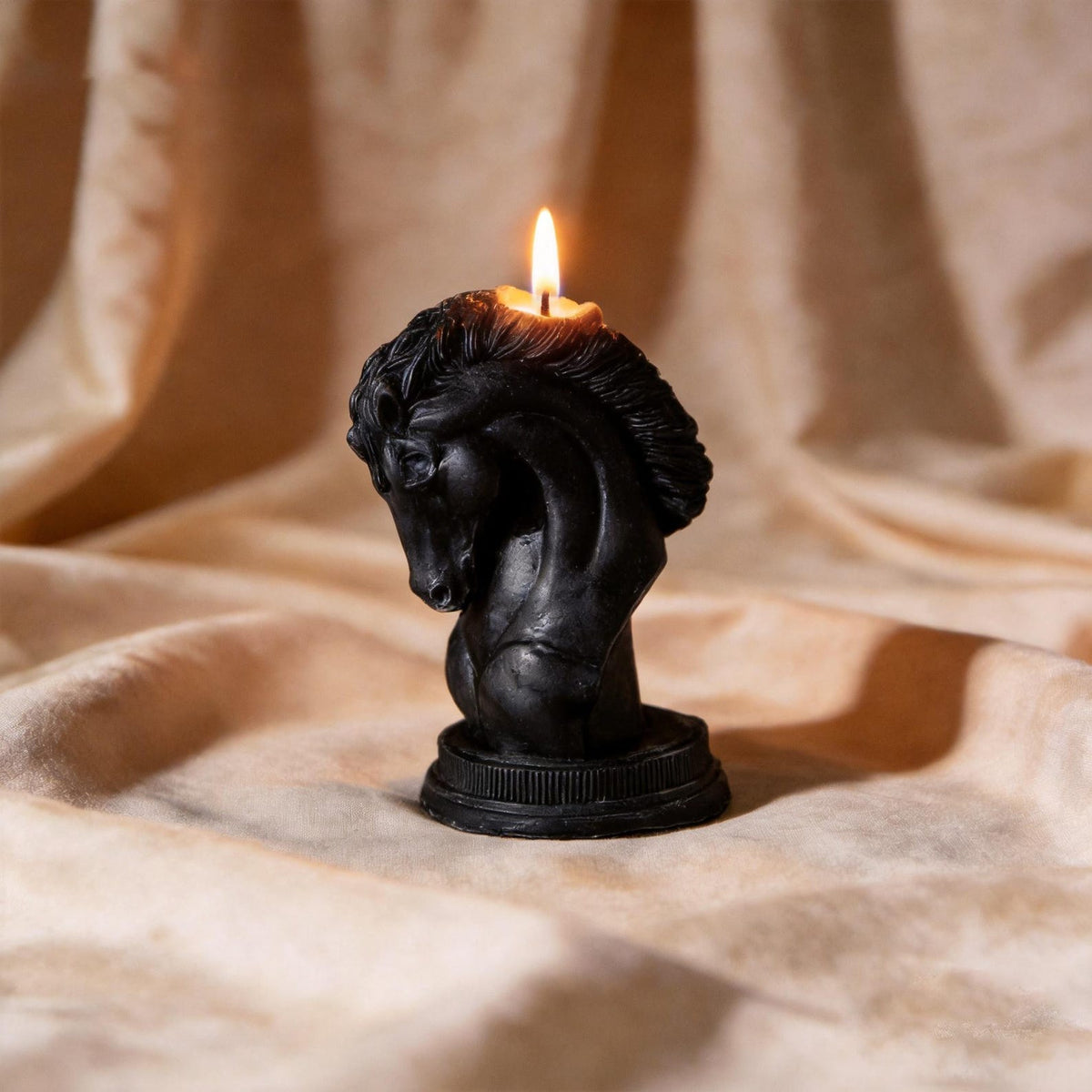 Alternate view of the horse head candle.