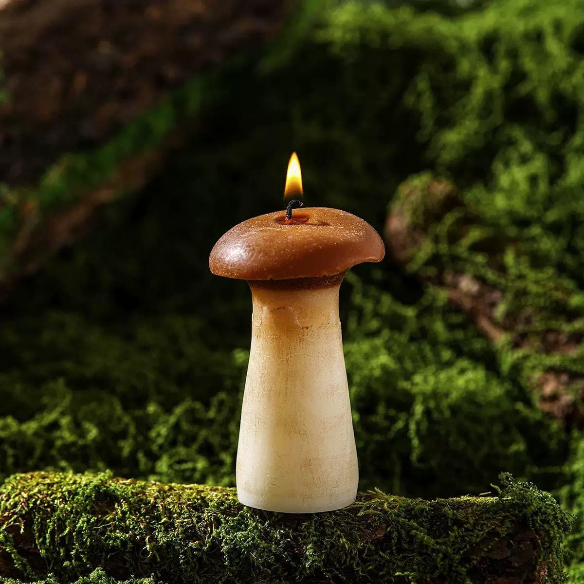 Additional view of the mushroom beeswax candle.